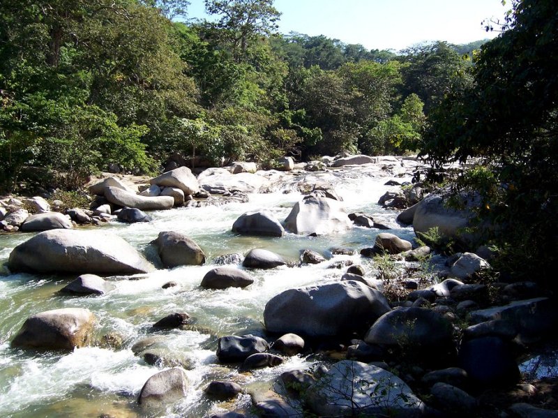 puertovallartajungleriver.jpg